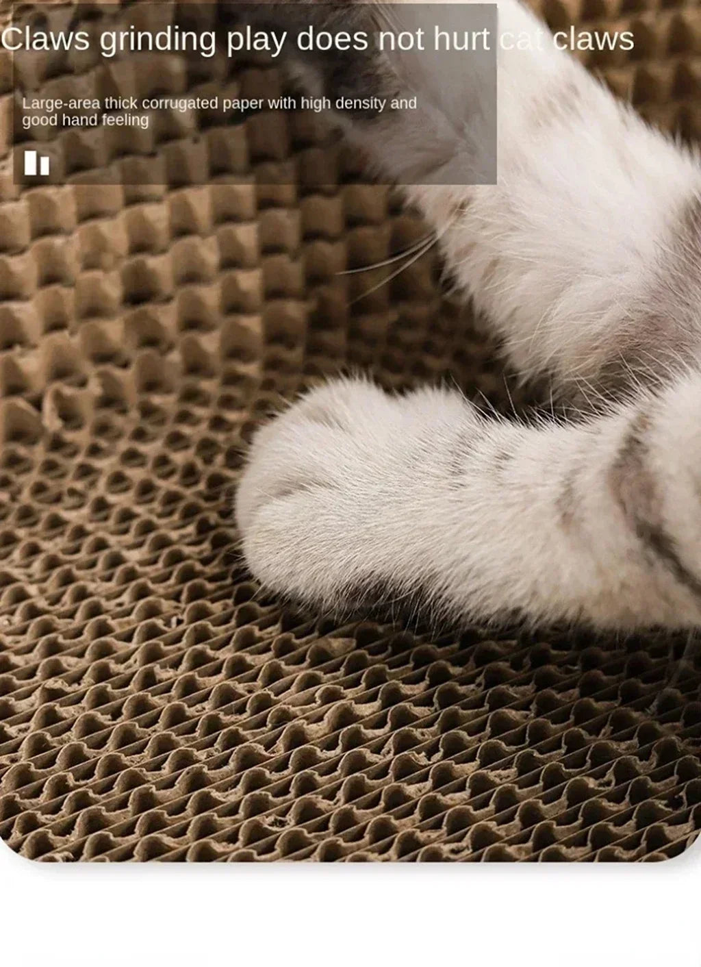 Cat Scratching Boards