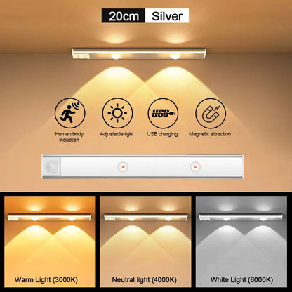 Motion Sensor LED Light