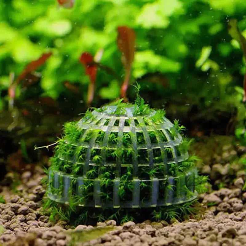 Fish Tank Decoration Natural Wooden Small Habitat Roots Driftwood Scenery  Decorative Ornaments Aquarium Landscape Tree Roots