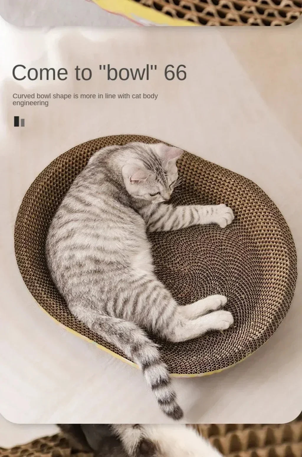 Cat Scratching Boards