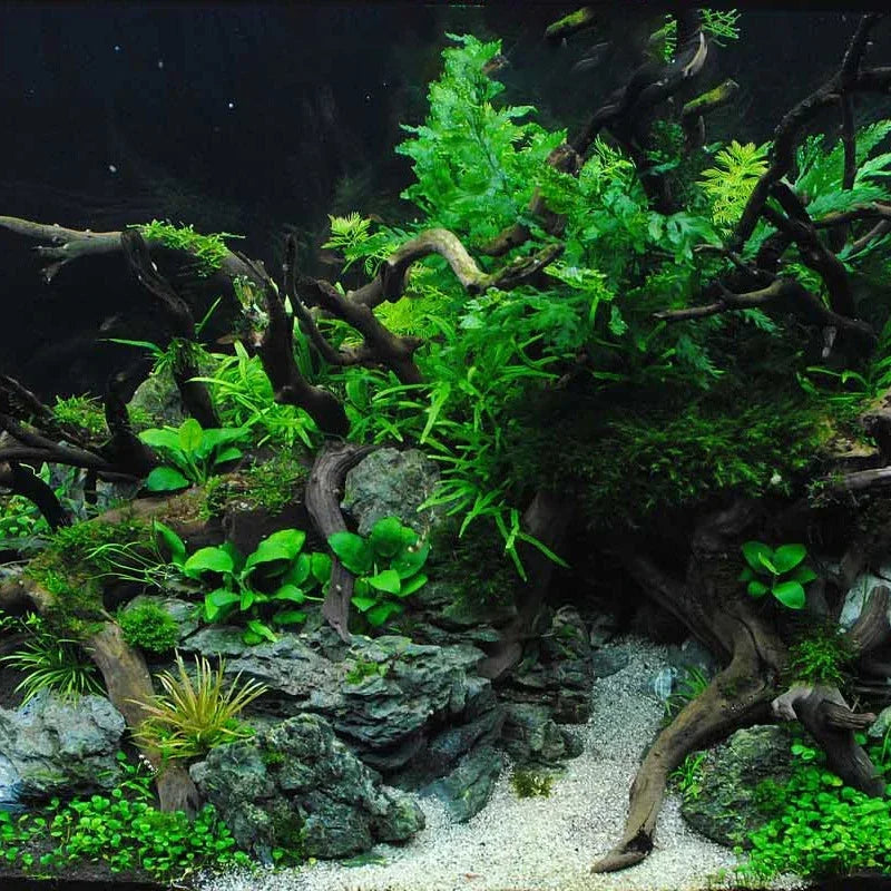 Fish Tank Decoration Natural Wooden Small Habitat Roots Driftwood Scenery  Decorative Ornaments Aquarium Landscape Tree Roots