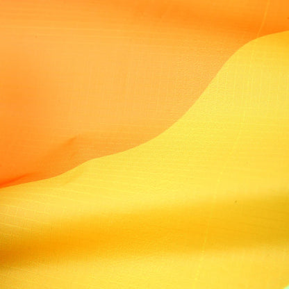 Large Beach Delta Kite